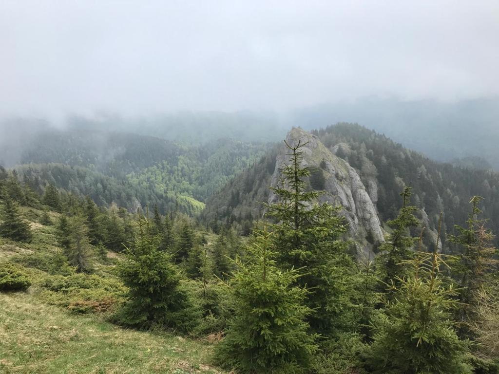 Apartament Ovo Sinaia Exteriér fotografie