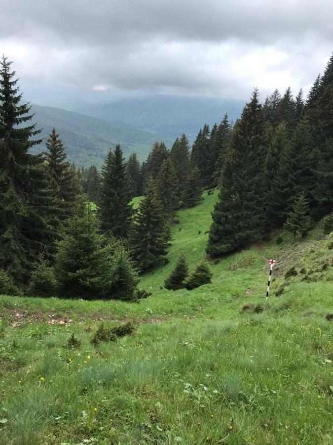 Apartament Ovo Sinaia Exteriér fotografie