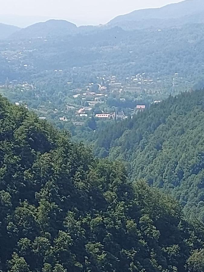 Apartament Ovo Sinaia Exteriér fotografie