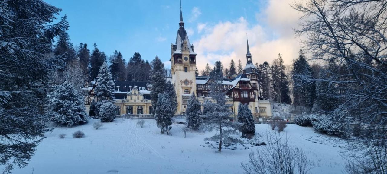 Apartament Ovo Sinaia Exteriér fotografie