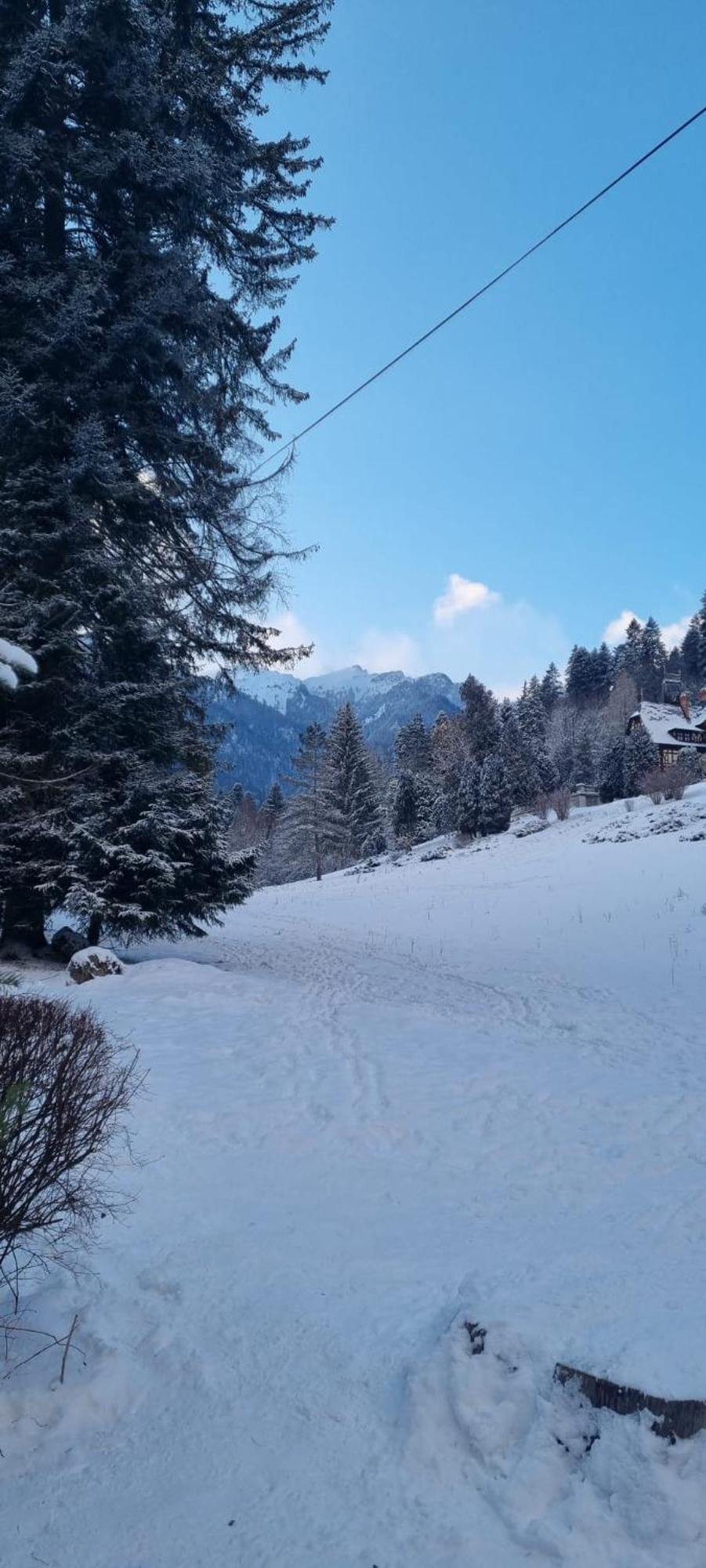 Apartament Ovo Sinaia Exteriér fotografie